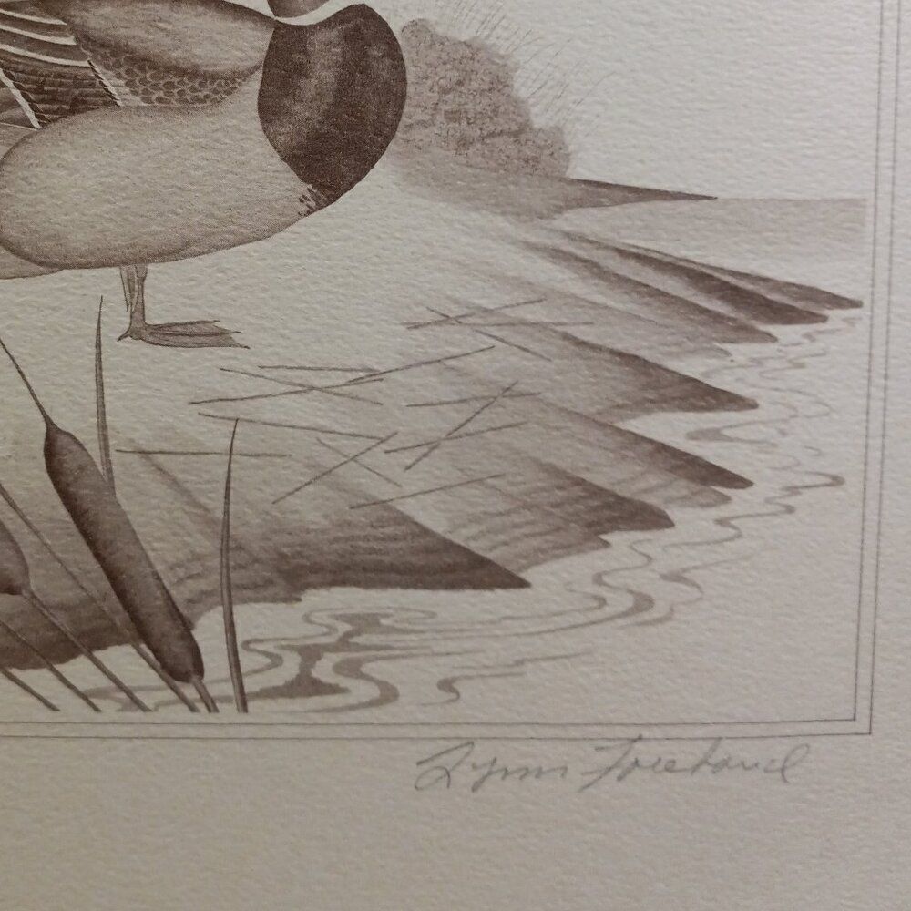 Vintage American Waterfowl Etching/Print Lynn Forehand 2 of 5 Cottagecore… - Picture 3 of 6